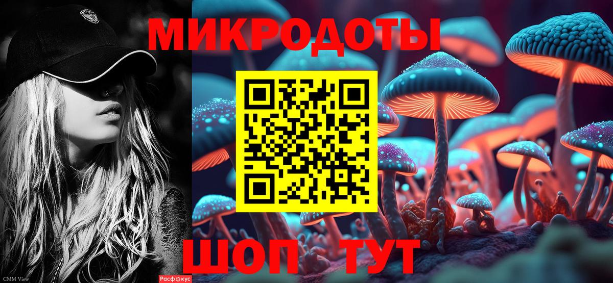 Ирбит  Псилоцибиновые грибы Psilocybe  Вход с VPN  Псилоцибиновые грибы Psilocybe 